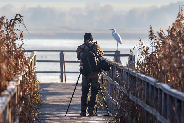 Dicas para Ganhar Dinheiro com Fotografia de Stock